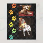 konijnenboeg - medaillemakker (Achterkant)