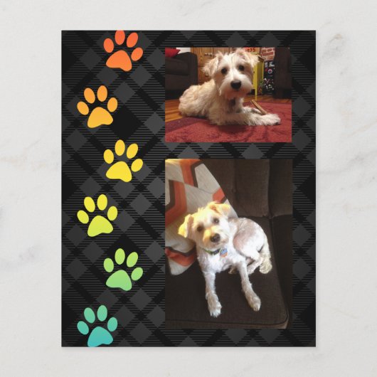 konijnenboeg - medaillemakker (Achterkant)