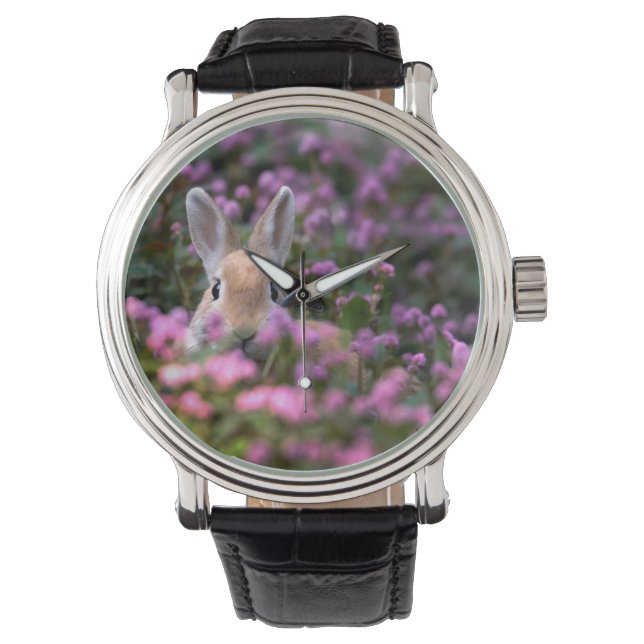 Konijnenboerderij Horloge (Voorkant)