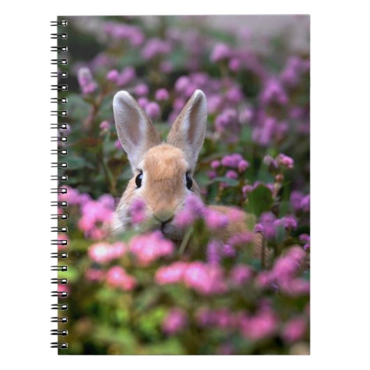 Konijnenboerderij Notitieboek (Voorkant)