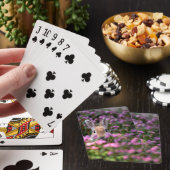 Konijnenboerderij Pokerkaarten (Insitu)