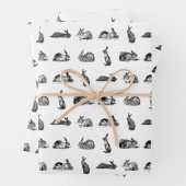 konijnenbundels maken een aangepaste ACHTERGRONDK Inpakpapier Vel (In situ)