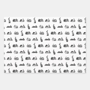 konijnenbundels maken een aangepaste ACHTERGRONDK Inpakpapier Vel