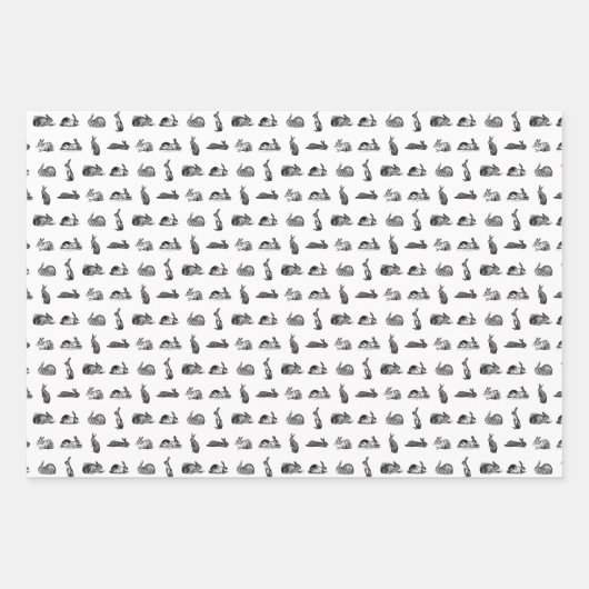  konijnenbundels maken een aangepaste ACHTERGRONDK Inpakpapier Vel (Voorkant)