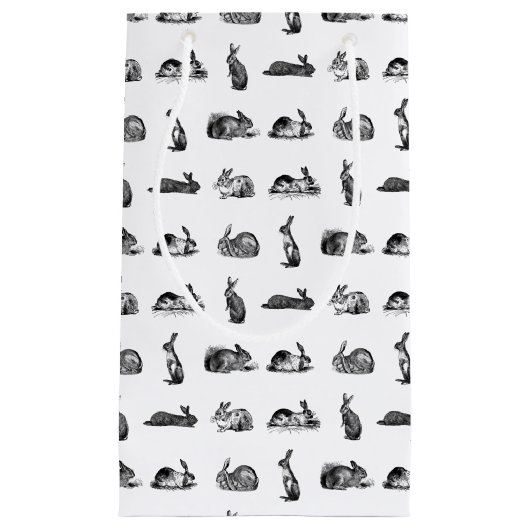 konijnenbundels maken een aangepaste ACHTERGRONDK Klein Cadeauzakje (Voorkant)