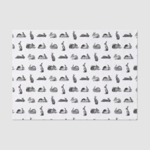 konijnenbundels maken een aangepaste ACHTERGRONDK Tissuepapier