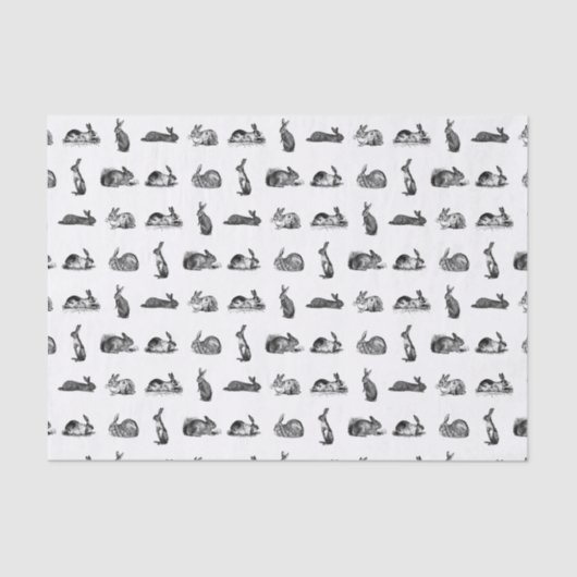 konijnenbundels maken een aangepaste ACHTERGRONDK Tissuepapier (Voorkant)