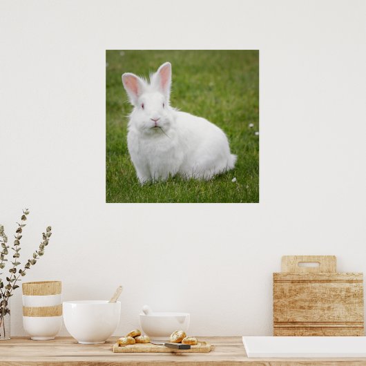 konijnenbunny poster (Keuken)