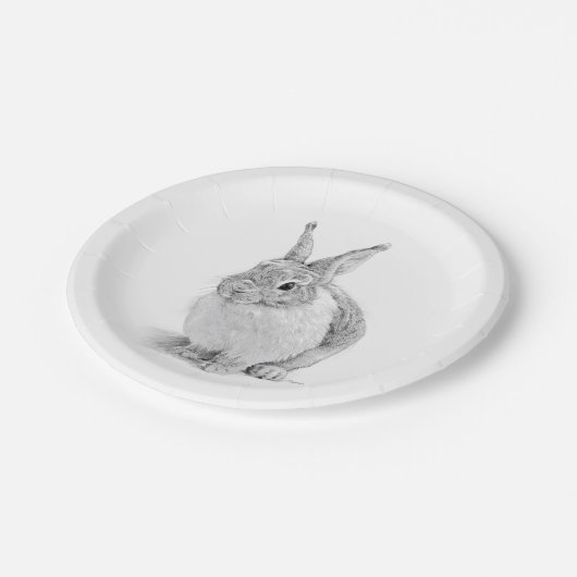 konijnendag papieren bordje (Gekanteld)