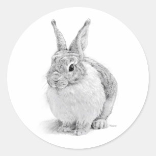 konijnendag ronde sticker