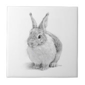 konijnendag tegeltje (Voorkant)