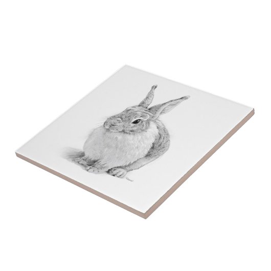 konijnendag tegeltje (Zijkant)