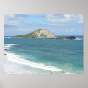 Konijneneiland op het Poster Ohau