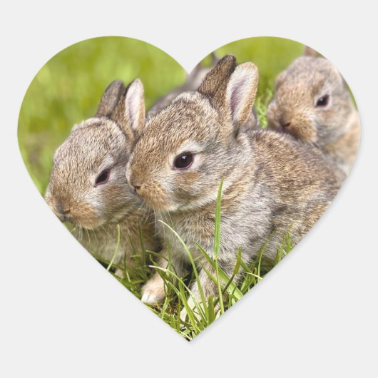 Konijnenfamilie Hart Sticker (Voorkant)