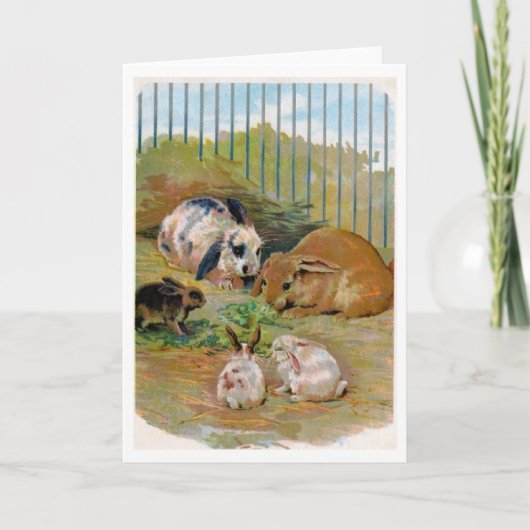 - konijnenfamilie, kaart (Voorkant)