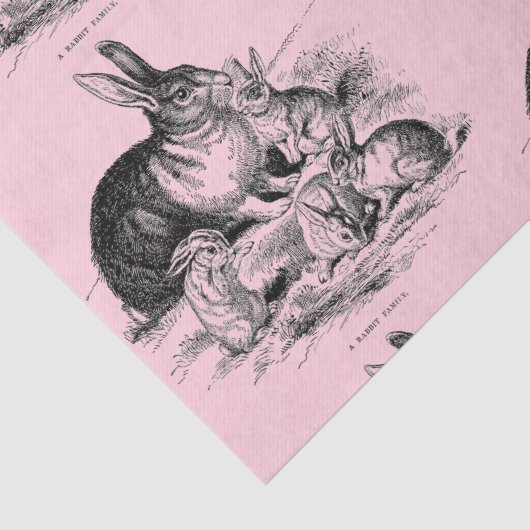  konijnenfamilie - tekening tissuepapier (Detail)