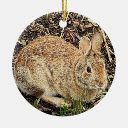 Konijnenfoto Ornament (Voorkant)