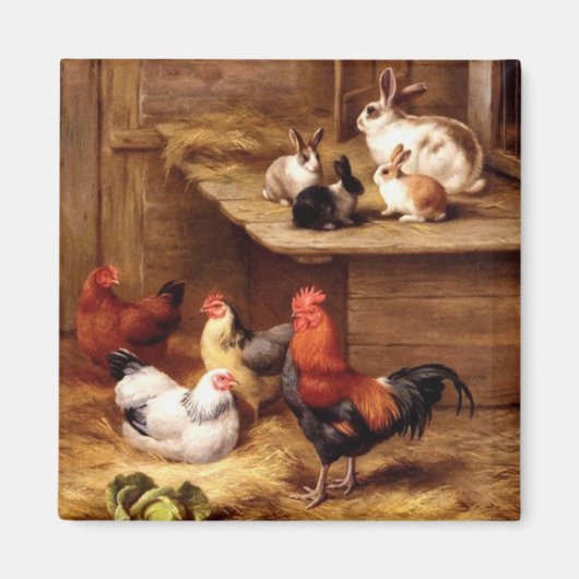 Konijnenhaan hennen boerderijdieren konijntjes magneet (Voorkant)
