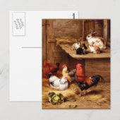 Konijnenhengstenhoenders Briefkaart (Voorkant / Achterkant)