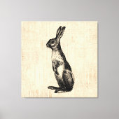  konijnenillustratie Oude Fashioned Bunny Canvas Afdruk (Voorkant)
