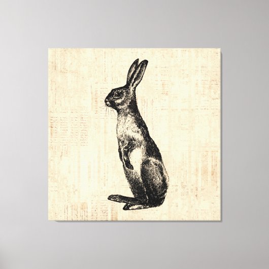  konijnenillustratie Oude Fashioned Bunny Canvas Afdruk (Voorkant)