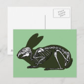 konijnenkelet briefkaart (Voorkant / Achterkant)