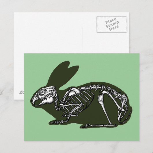 konijnenkelet briefkaart (Voorkant / Achterkant)