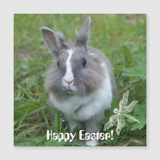 konijnenkonijn (Voorkant)