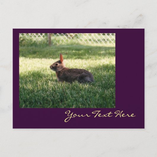 Konijnenkonijn Briefkaart (Voorkant)
