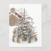 Konijnenkonijn Briefkaart (Voorkant)