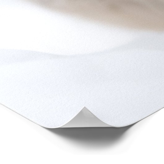 Konijnenkonijn Dier Familie Wandering Poster (Hoek)