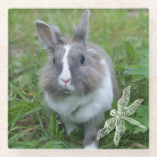 konijnenkonijn glazen onderzetter