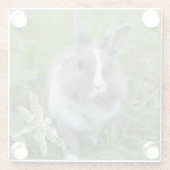 konijnenkonijn glazen onderzetter (Achterkant)