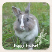 konijnenkonijn kartonnen onderzetters (Voorkant)