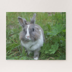 konijnenkonijn legpuzzel