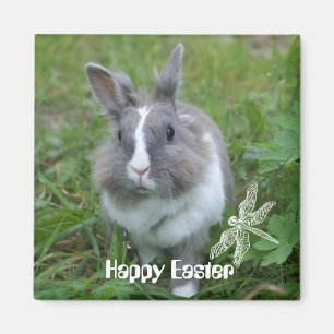 konijnenkonijn magneet