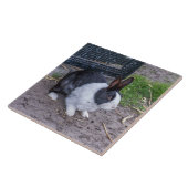 Konijnenkonijn omhoog dichtbij ceramische tegel tegeltje (Zijkant)