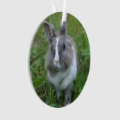 konijnenkonijn ornament (voorkant)