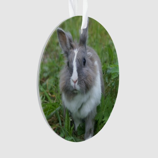 konijnenkonijn ornament (voorkant)