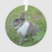konijnenkonijn ornament (achterkant)