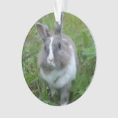 konijnenkonijn ornament (voorkant)