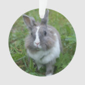 konijnenkonijn ornament (voorkant)