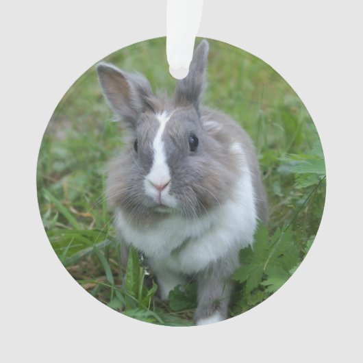 konijnenkonijn ornament (voorkant)