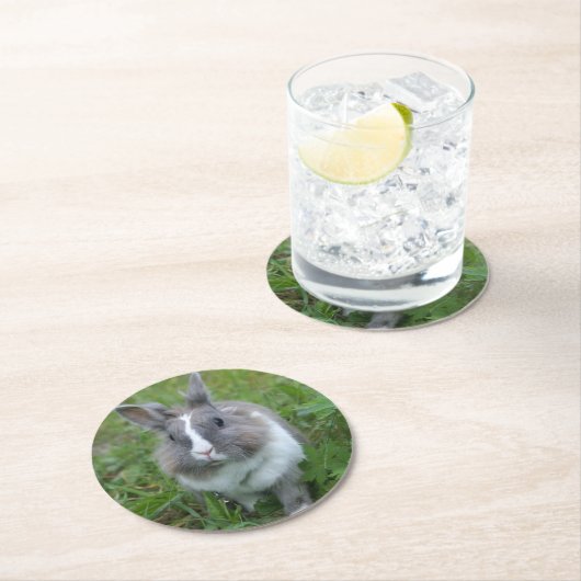 konijnenkonijn ronde kartonnen onderzetter (Insitu)