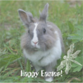 konijnenkonijn sticker (Voorkant)