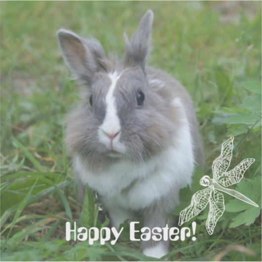 konijnenkonijn sticker (Voorkant)