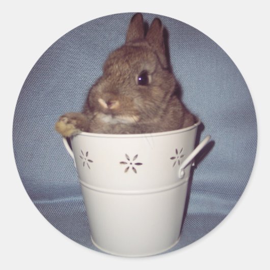 Konijnenkonijn Sticker (Voorkant)