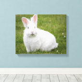 Konijnenkonijnenfoto Canvas Afdruk (Insitu (Houten vloer))