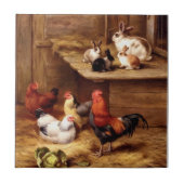 Konijnenkoosterkippen "Bunnies pet farm" Tegeltje (Voorkant)