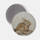 Konijnenmagneet - Coniglietto calamita Magneet (Voorkant / Achterkant)